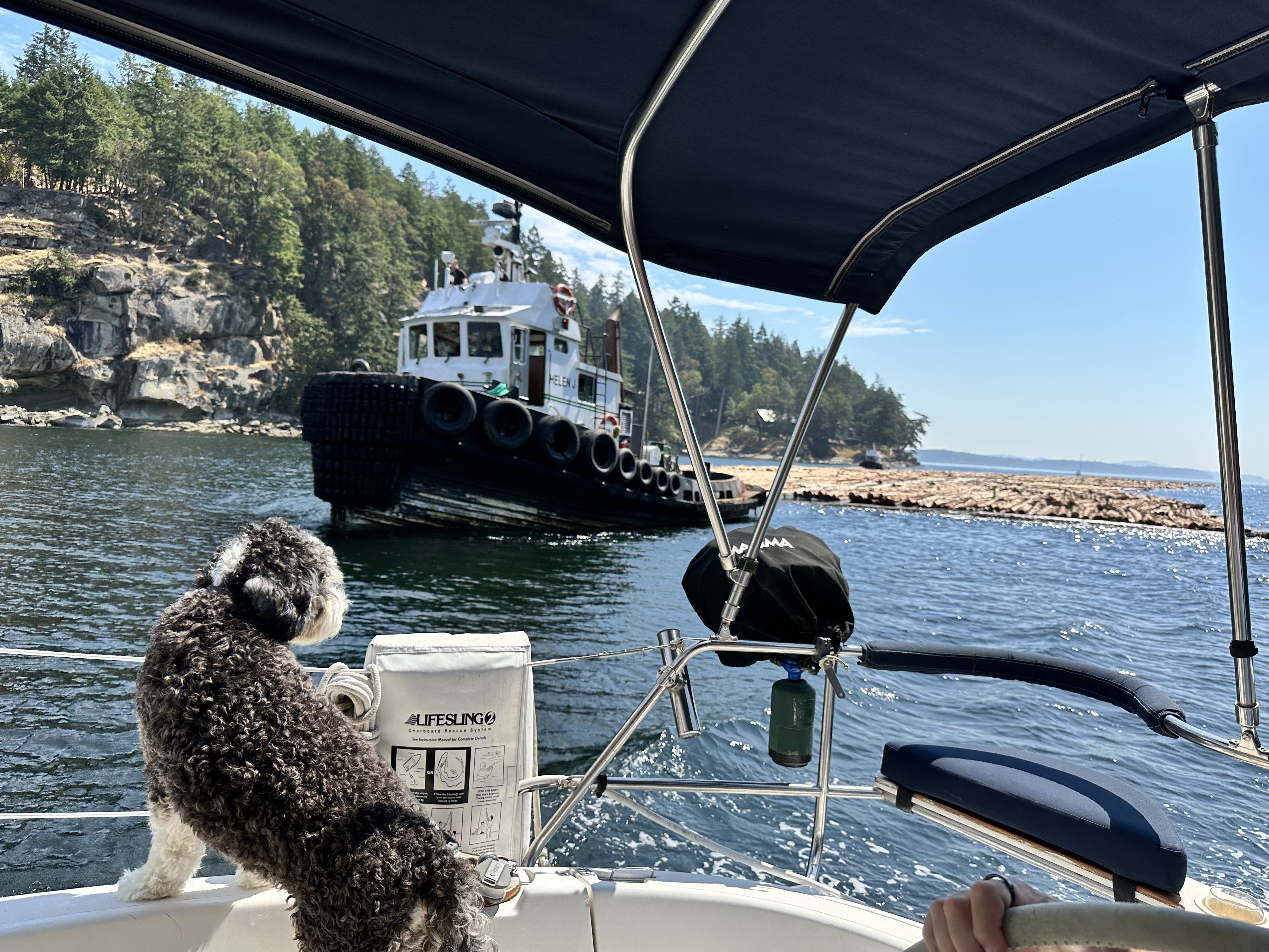 View from Oceanus while underway in Canada